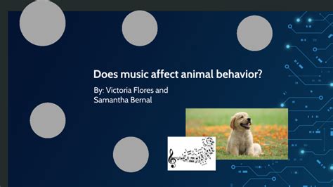 Does Music Affect Animal Behavior: A Multi-perspective Exploration